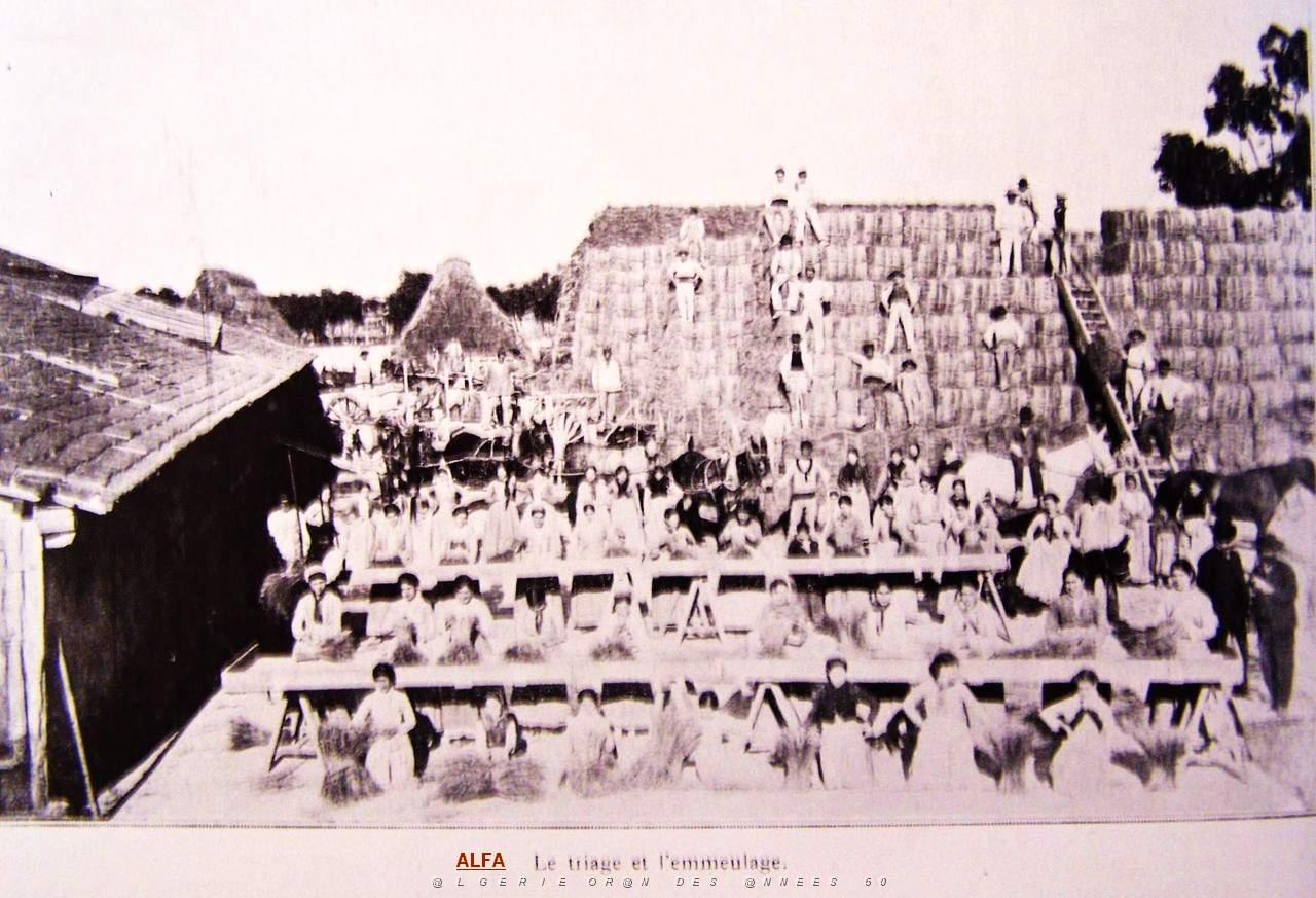 Images d'Algerie 013.jpg